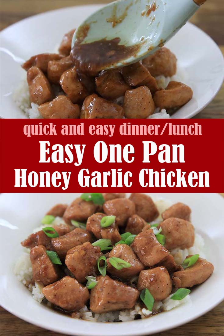 Quick and Easy One Pan Honey Garlic Chicken