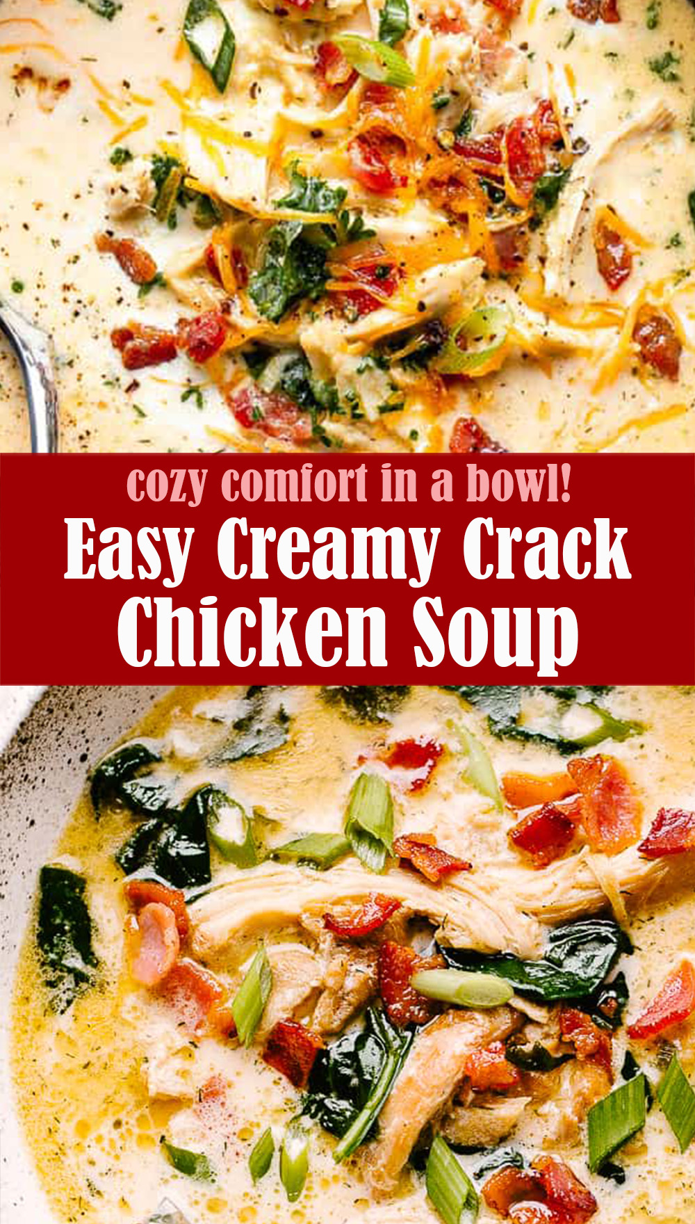 Easy Creamy Crack Chicken Soup