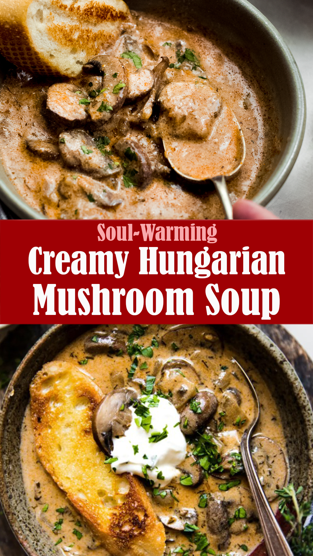 Creamy Hungarian Mushroom Soup Recipe