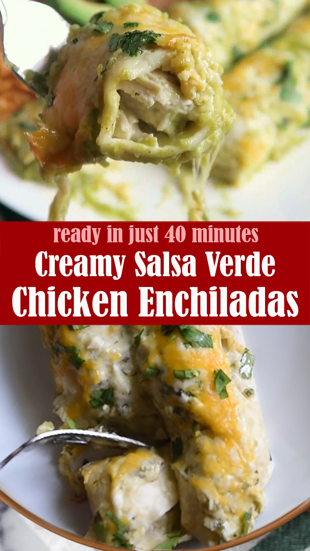 Creamy Salsa Verde Chicken Enchiladas Recipe