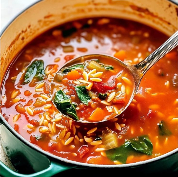 Italian Orzo Spinach Soup