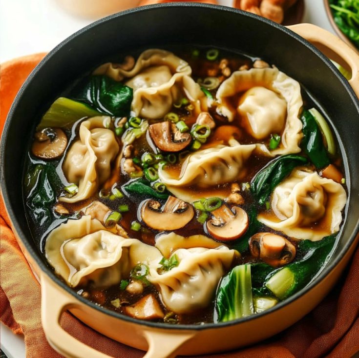 Potsticker Soup