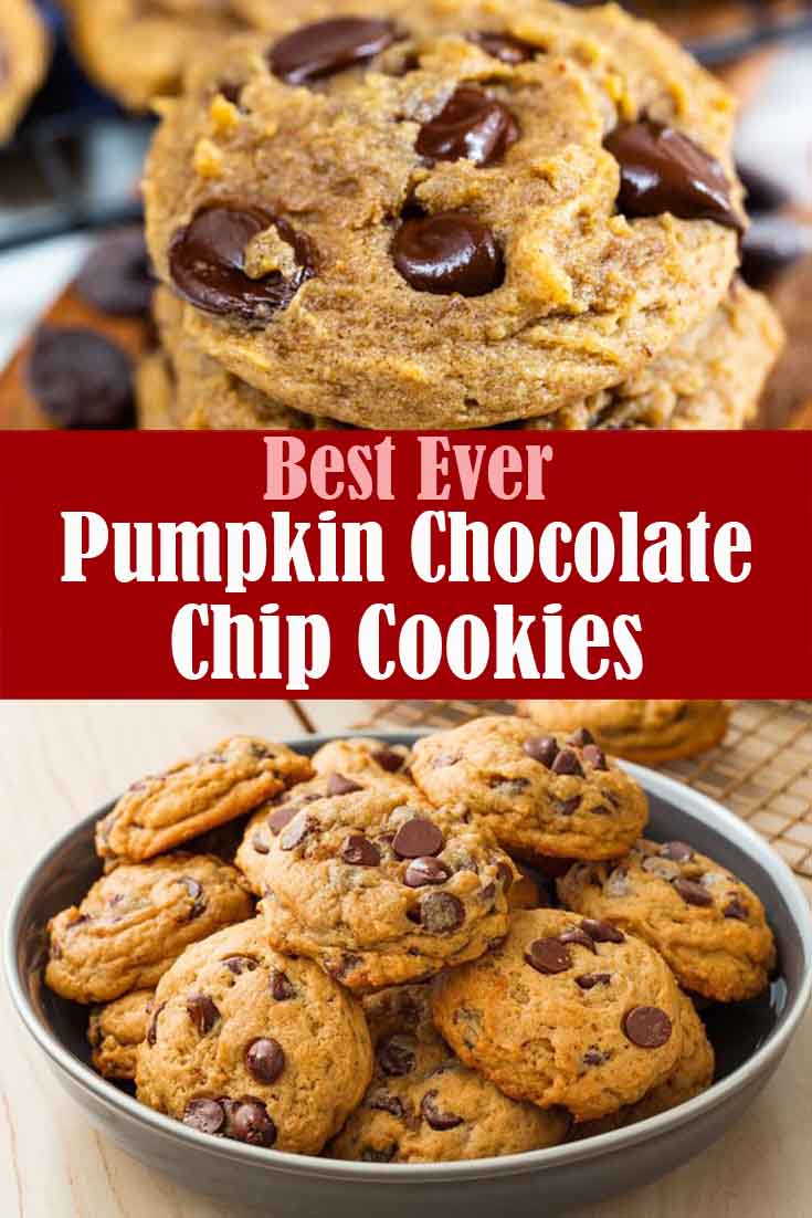 Best Ever Pumpkin Chocolate Chip Cookies